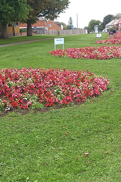 Flower beds created by the council